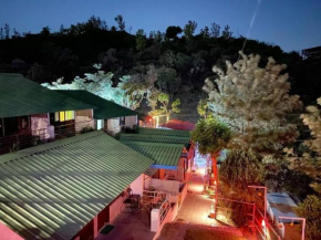 Cottage Resort amidst Shivaliks